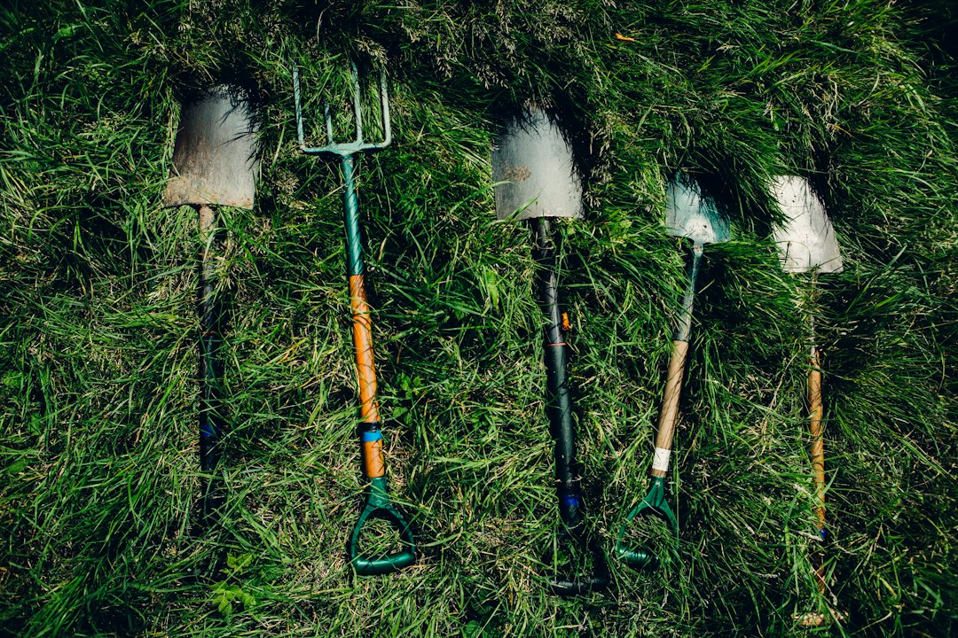 Visual representation of heavy-duty harvesting tools professional urban foragers