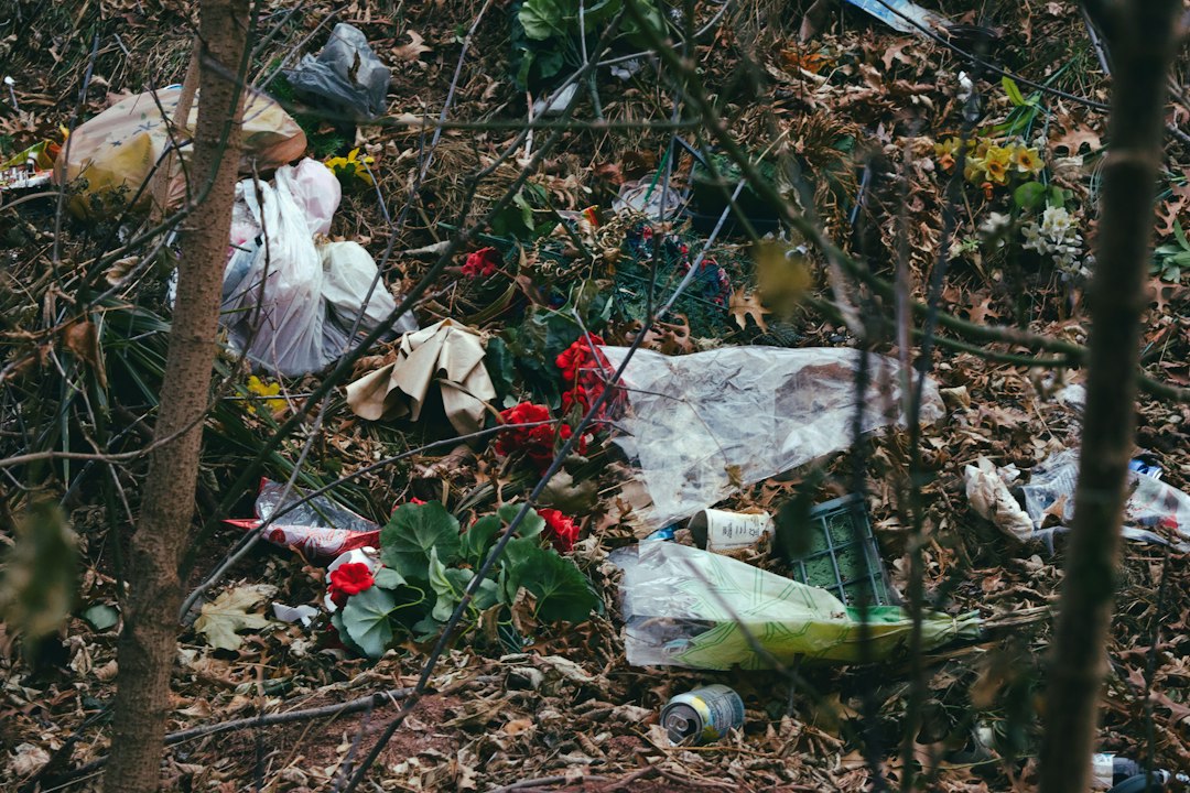 Visual illustration for heavy metal contamination urban foraged pet botanicals