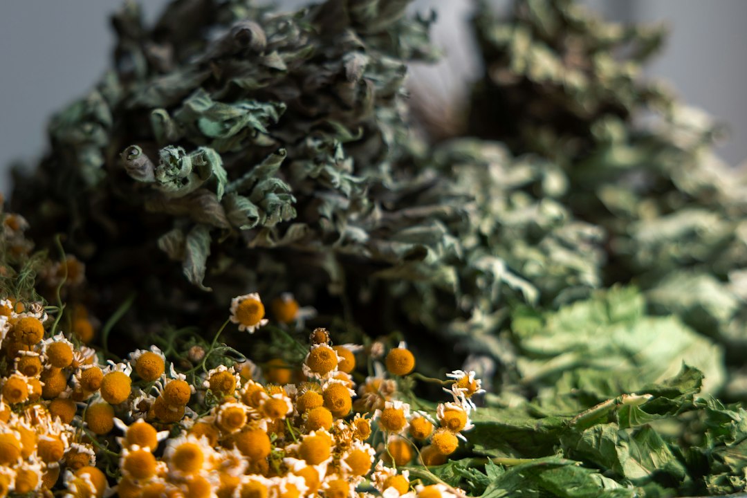 Visual illustration for moisture management raw wild botanicals storage