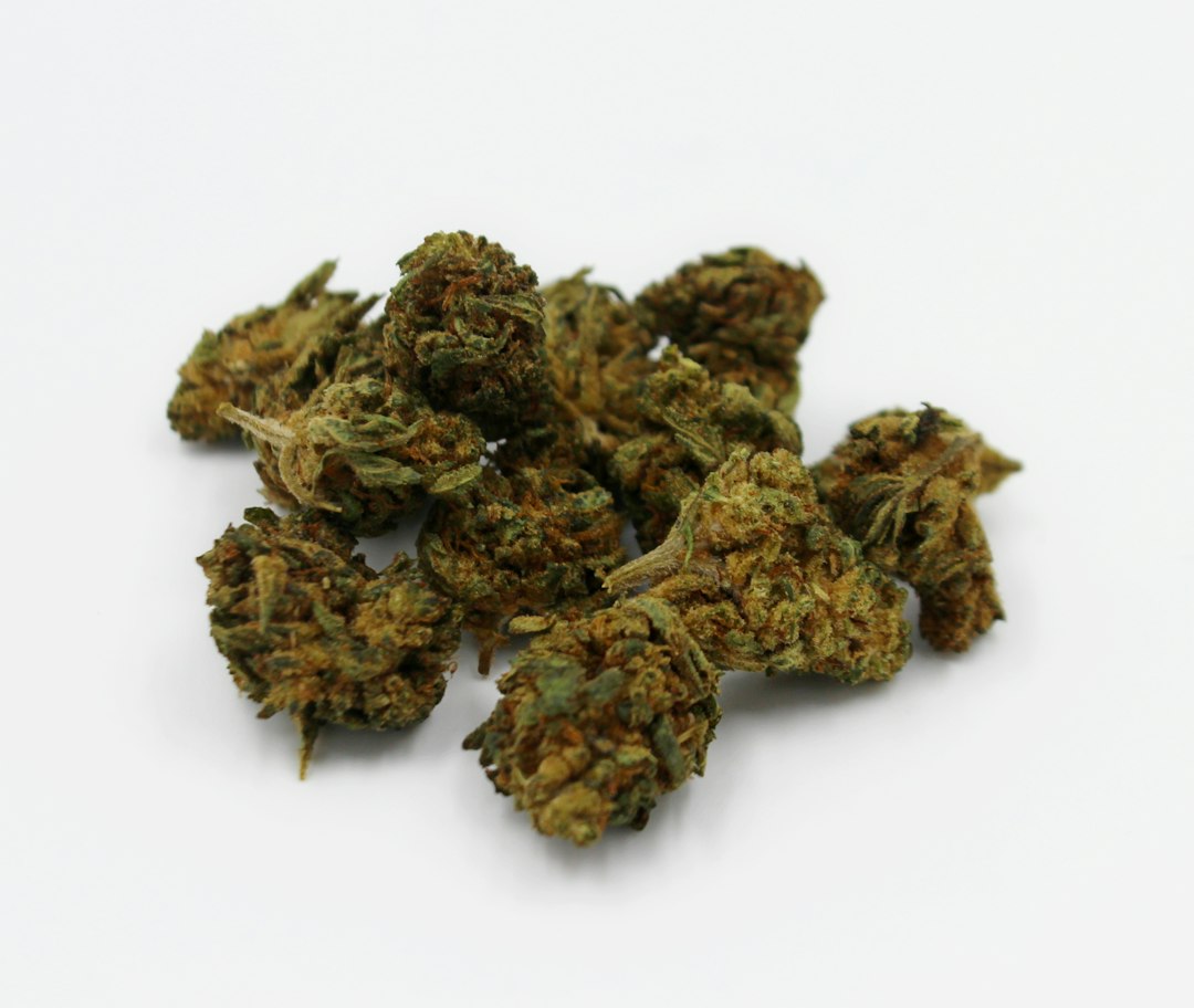 Visual representation of nitrogen flushing vacuum packing bulk wild pet herbs