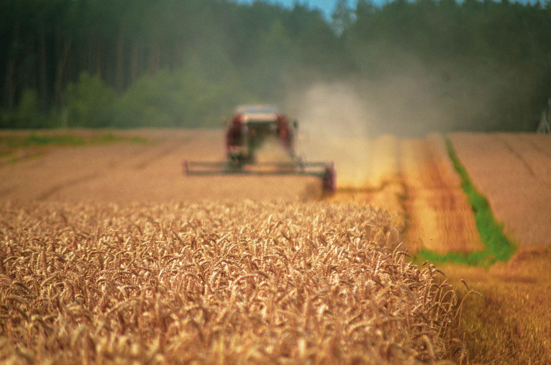 Visual representation of seasonal harvest schedules Canadian climate zones pet food