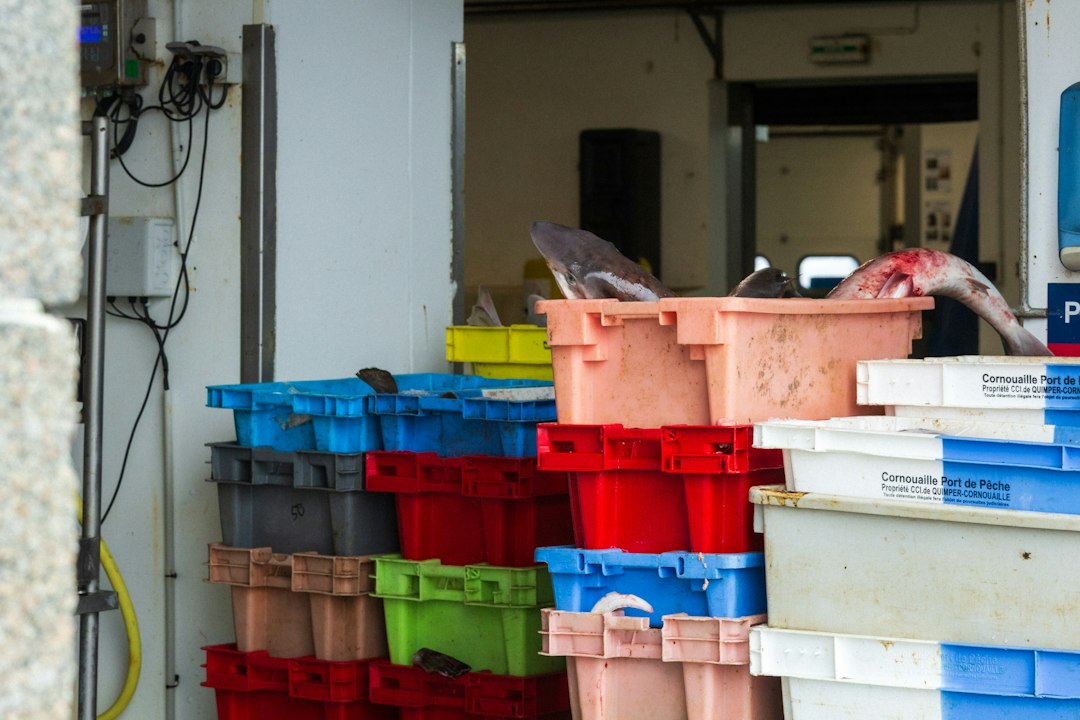 Visual representation of sanitization protocols industrial foraging totes bins