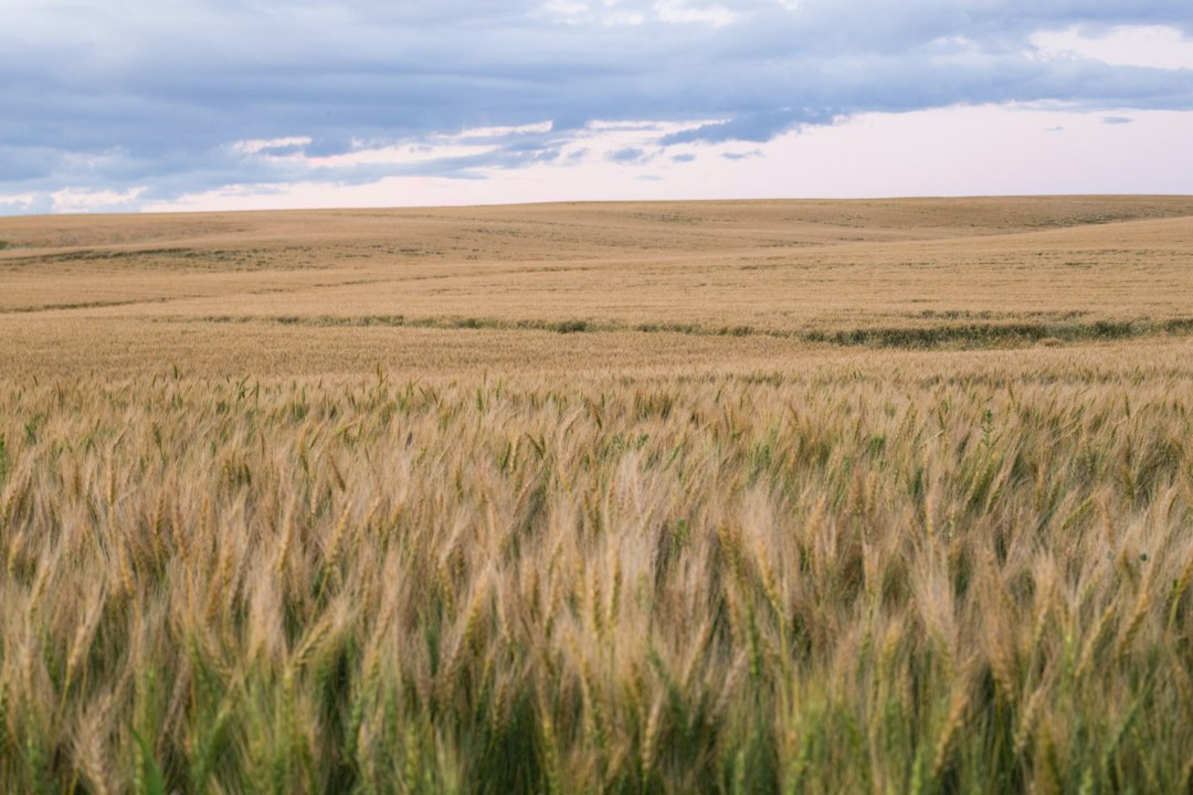 Visual representation of software tools tracking wild harvest provenance ESG Canada