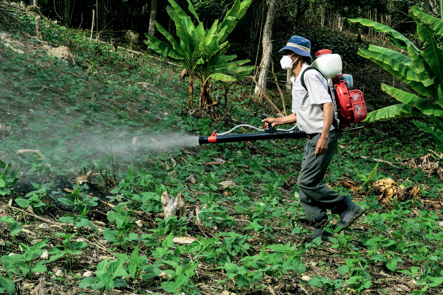 Visual illustration for pesticide drift chemical residue commercial foraging
